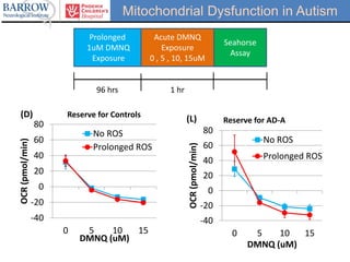 Mitochondrial Dysfunction in Autism
-40
-20
0
20
40
60
80
0 5 10 15
OCR(pmol/min)
DMNQ (uM)
Reserve for Controls
No ROS
Prolonged ROS
(D)
-40
-20
0
20
40
60
80
0 5 10 15
OCR(pmol/min)
DMNQ (uM)
Reserve for AD-A
No ROS
Prolonged ROS
(L)
96 hrs 1 hr
Prolonged
1uM DMNQ
Exposure
Acute DMNQ
Exposure
0 , 5 , 10, 15uM
Seahorse
Assay
 