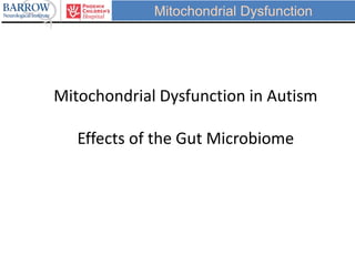 Mitochondrial Dysfunction
Mitochondrial Dysfunction in Autism
Effects of the Gut Microbiome
 