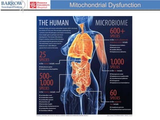 Mitochondrial Dysfunction
 