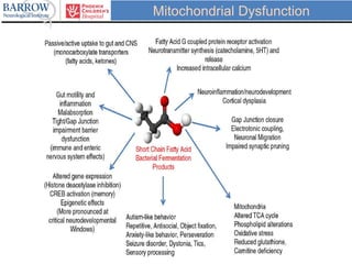 Mitochondrial Dysfunction
 