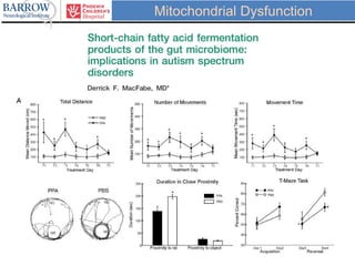 Mitochondrial Dysfunction
 