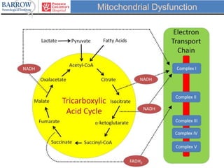Mitochondrial Dysfunction
 