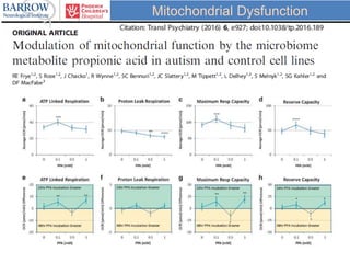 Mitochondrial Dysfunction
 