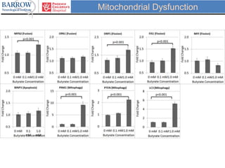 Mitochondrial Dysfunction
 