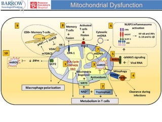 Mitochondrial Dysfunction
 