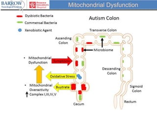 Mitochondrial Dysfunction
 