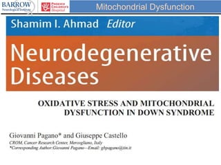 Mitochondrial Dysfunction
 