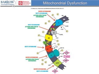 Mitochondrial Dysfunction
 