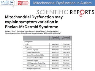 Mitochondrial Dysfunction in Autism
 