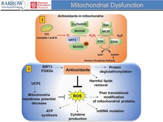 Mitochondrial Dysfunction
 
