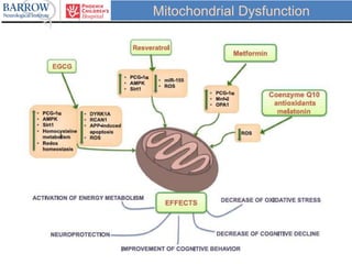 Mitochondrial Dysfunction
 