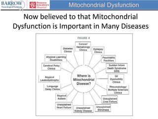 Mitochondrial Dysfunction
Now believed to that Mitochondrial
Dysfunction is Important in Many Diseases
 