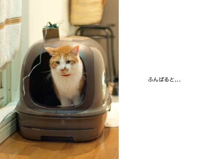 未踏カンファレンス12 未踏で猫にセンサとかつけたりして楽しい日々を送っていたのに何を間違えたのか 検閲により削除 に就職してしま