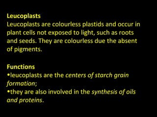 Leucoplasts
Leucoplasts are colourless plastids and occur in
plant cells not exposed to light, such as roots
and seeds. They are colourless due the absent
of pigments.
Functions
•leucoplasts are the centers of starch grain
formation;
•they are also involved in the synthesis of oils
and proteins.
 