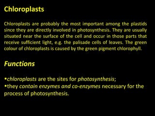 Chloroplasts
Chloroplasts are probably the most important among the plastids
since they are directly involved in photosynthesis. They are usually
situated near the surface of the cell and occur in those parts that
receive sufficient light, e.g. the palisade cells of leaves. The green
colour of chloroplasts is caused by the green pigment chlorophyll.
Functions
•chloroplasts are the sites for photosynthesis;
•they contain enzymes and co-enzymes necessary for the
process of photosynthesis.
 
