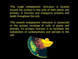 •The rough endoplasmic reticulum is located
around the nucleus in the cells of both plants and
animals. It function and transports proteins and
lipids throughout the cell.
•The smooth endoplasmic reticulum is connected
to the nuclear envelope of cells in plants and
animals. It's primary function is to facilitate the
metabolism of carbohydrates and steroids in the
cell
 