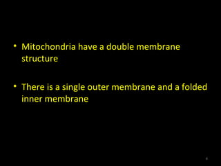 Structure
• Mitochondria have a double membrane
structure
• There is a single outer membrane and a folded
inner membrane
6
 