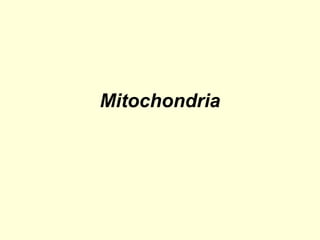 Mitochondria
 