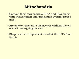 Mitochondria
• Contain their own copies of DNA and RNA along
with transcription and translation system (riboso
mes)
• Are able to regenerate themselves without the wh
ole cell undergoing division
• Shape and size dependent on what the cell’s func
tion is
 