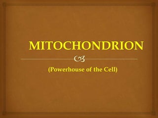 (Powerhouse of the Cell)
 
