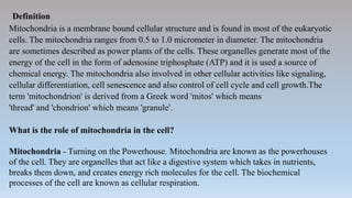 Definition
Mitochondria is a membrane bound cellular structure and is found in most of the eukaryotic
cells. The mitochondria ranges from 0.5 to 1.0 micrometer in diameter. The mitochondria
are sometimes described as power plants of the cells. These organelles generate most of the
energy of the cell in the form of adenosine triphosphate (ATP) and it is used a source of
chemical energy. The mitochondria also involved in other cellular activities like signaling,
cellular differentiation, cell senescence and also control of cell cycle and cell growth.The
term 'mitochondrion' is derived from a Greek word 'mitos' which means
'thread' and 'chondrion' which means 'granule'.
What is the role of mitochondria in the cell?
Mitochondria - Turning on the Powerhouse. Mitochondria are known as the powerhouses
of the cell. They are organelles that act like a digestive system which takes in nutrients,
breaks them down, and creates energy rich molecules for the cell. The biochemical
processes of the cell are known as cellular respiration.
 