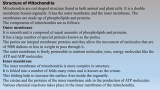 Structure of Mitochondria
Mitochondria are rod shaped structure found in both animal and plant cells. It is a double
membrane bound organelle. It has the outer membrane and the inner membrane. The
membranes are made up of phospholipids and proteins.
The components of mitochondria are as follows:
Outer membrane
It is smooth and is composed of equal amounts of phospholipids and proteins.
It has a large number of special proteins known as the porins.
The porins are integral membrane proteins and they allow the movement of molecules that are
of 5000 daltons or less in weight to pass through it.
The outer membrane is freely permeable to nutrient molecules, ions, energy molecules like the
ATP and ADP molecules.
Inner membrane
The inner membrane of mitochondria is more complex in structure.
It is folded into a number of folds many times and is known as the cristae.
This folding help to increase the surface Ares inside the organelle.
The cristae and the proteins of the inner membrane aids in the production of ATP molecules.
Various chemical reactions takes place in the inner membrane of the mitochondria.
 
