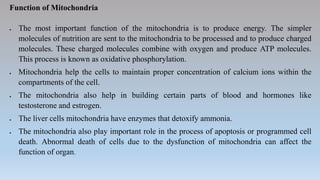 Function of Mitochondria
 The most important function of the mitochondria is to produce energy. The simpler
molecules of nutrition are sent to the mitochondria to be processed and to produce charged
molecules. These charged molecules combine with oxygen and produce ATP molecules.
This process is known as oxidative phosphorylation.
 Mitochondria help the cells to maintain proper concentration of calcium ions within the
compartments of the cell.
 The mitochondria also help in building certain parts of blood and hormones like
testosterone and estrogen.
 The liver cells mitochondria have enzymes that detoxify ammonia.
 The mitochondria also play important role in the process of apoptosis or programmed cell
death. Abnormal death of cells due to the dysfunction of mitochondria can affect the
function of organ.
 