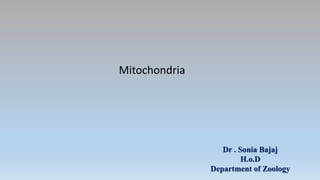 Mitochondria
Dr . Sonia Bajaj
H.o.D
Department of Zoology
 
