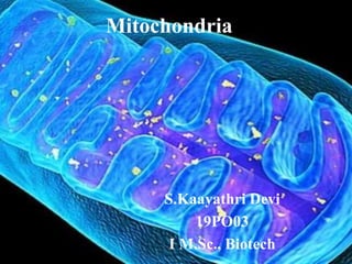 Mitochondria
S.Kaayathri Devi
19PO03
I M.Sc., Biotech
 