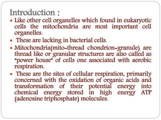 why is mitochondria important to the cell