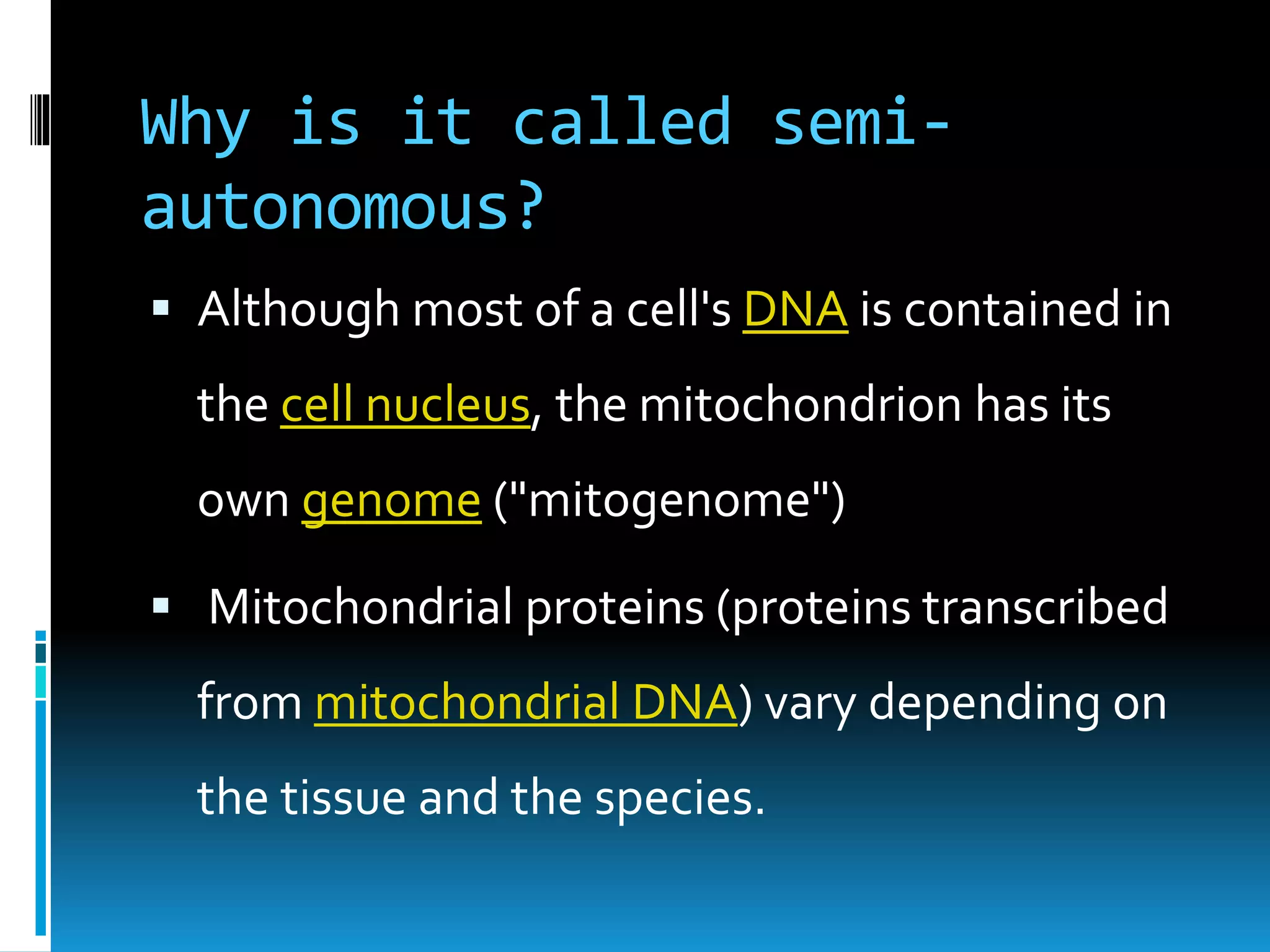 Mitochondria-the powerhouse of the cell