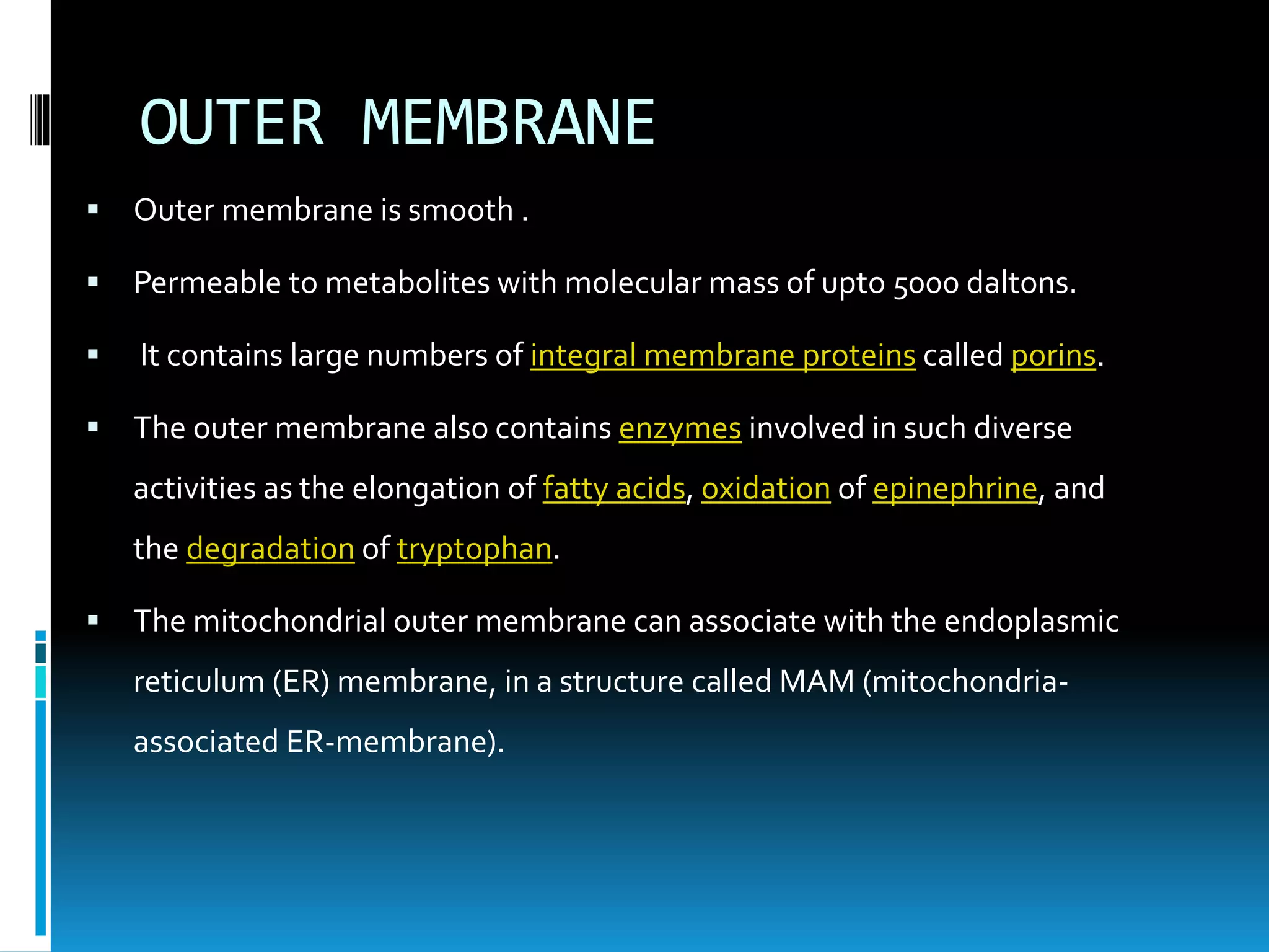 Mitochondria-the powerhouse of the cell