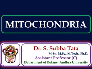 Dr. S. Subba Tata
M.Sc., M.Sc., M.Tech., Ph.D.
Assistant Professor (C)
Department of Botany, Andhra University
MITOCHONDRIA
 