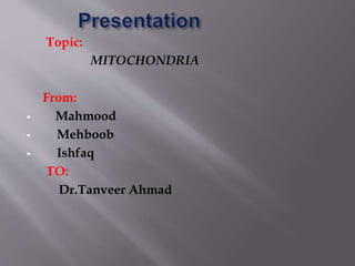 Topic:
MITOCHONDRIA
From:
 Mahmood
 Mehboob
 Ishfaq
TO:
Dr.Tanveer Ahmad
 