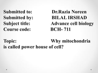 Submitted to: Dr.Razia Noreen
Submitted by: BILAL IRSHAD
Subject title: Advance cell biology
Course code: BCH- 711
Topic: Why mitochondria
is called power house of cell?
 