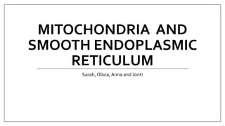 MITOCHONDRIA AND
SMOOTH ENDOPLASMIC
RETICULUM
Sarah, Olivia, Anna and Jonti
 