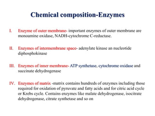 Chemical composition-Enzymes
I. Enzyme of outer membrane- important enzymes of outer membrane are
monoamine oxidase, NADH-cytochrome C-reductase.
II. Enzymes of intermembrane space- adenylate kinase an nucleotide
diphosphokinase
III. Enzymes of inner membrane- ATP synthetase, cytochrome oxidase and
succinate dehydrogenase
IV. Enzymes of matrix -matrix contains hundreds of enzymes including those
required for oxidation of pyruvate and fatty acids and for citric acid cycle
or Krebs cycle. Contains enzymes like malate dehydrogenase, isocitrate
dehydrogenase, citrate synthetase and so on
 