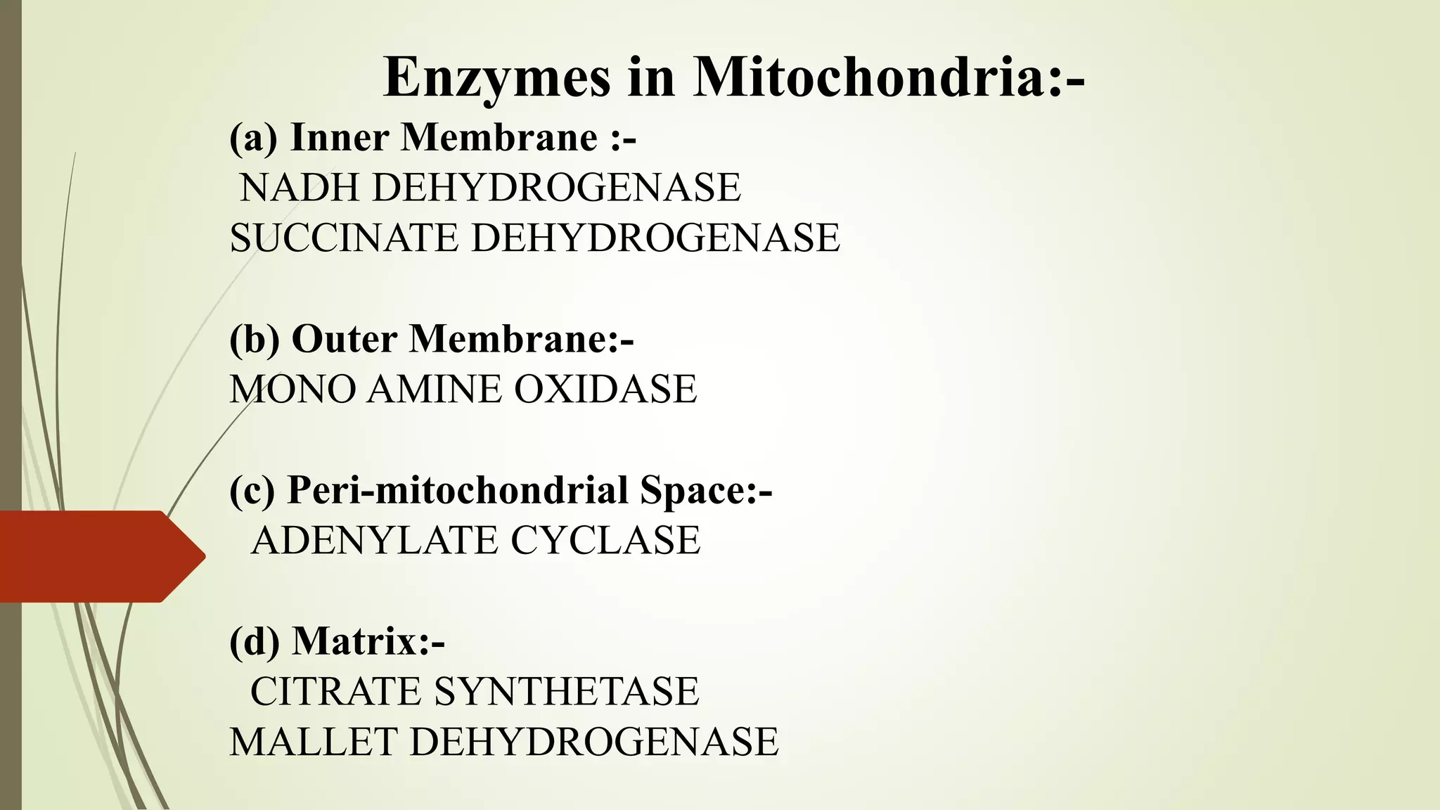 Enzymes in Mitochondria:-
(a) Inner Membrane :-
NADH DEHYDROGENASE
SUCCINATE DEHYDROGENASE
(b) Outer Membrane:-
MONO AMINE OXIDASE
(c) Peri-mitochondrial Space:-
ADENYLATE CYCLASE
(d) Matrix:-
CITRATE SYNTHETASE
MALLET DEHYDROGENASE
 