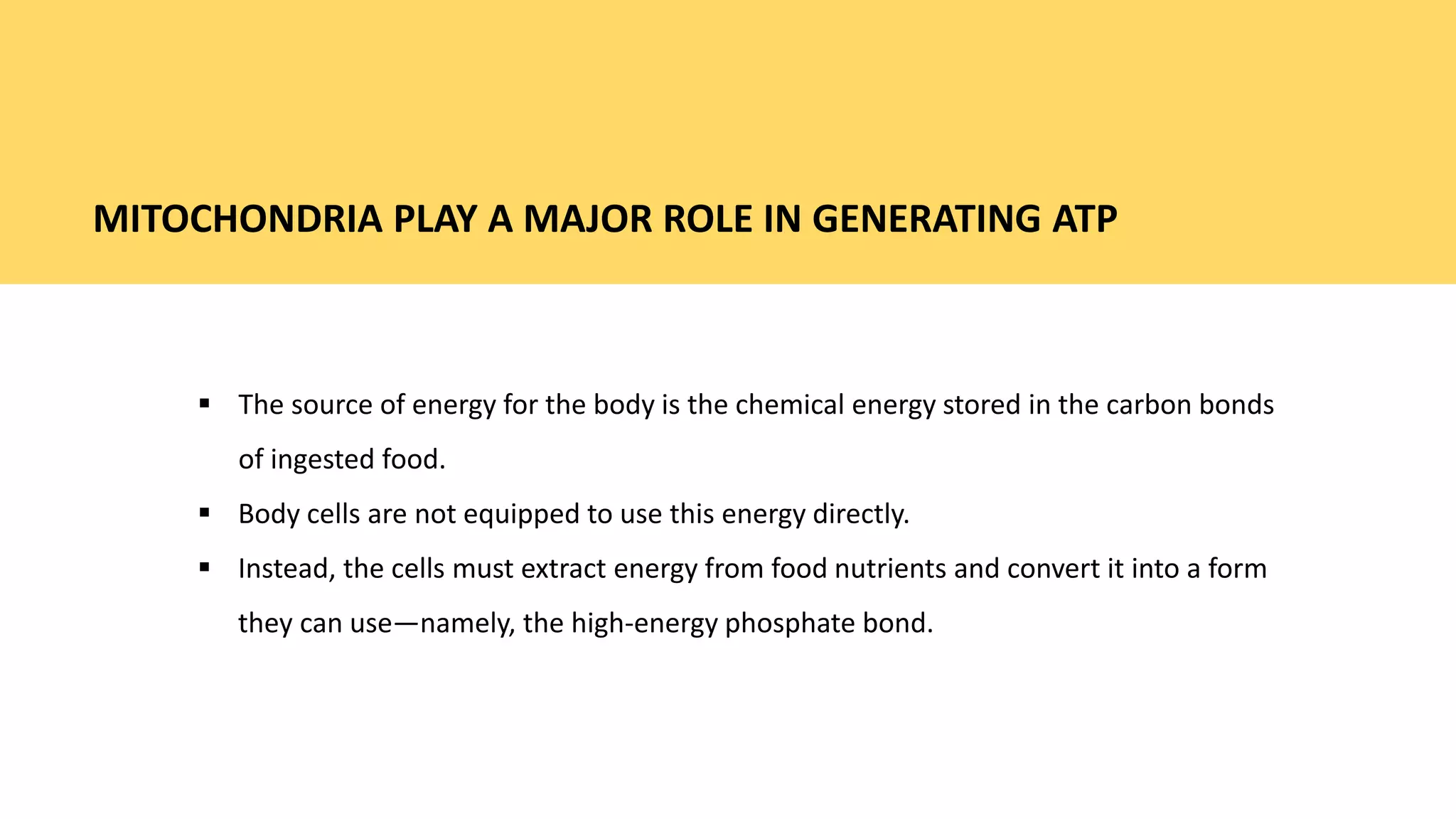 Mitochondria and ATP production | PPTX