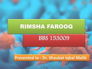 RIMSHA FAROOQ
BBS 153009
Presented to : Dr. Shaukat Iqbal Malik
 