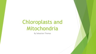 Chloroplasts and
Mitochondria
By Sebastian Thomas
 