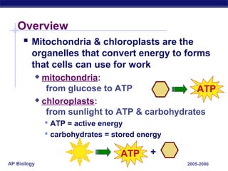 AP Biology 2005-2006
Overview
 Mitochondria & chloroplasts are the
organelles that convert energy to forms
that cells can use for work
 mitochondria:
from glucose to ATP
 chloroplasts:
from sunlight to ATP & carbohydrates
 ATP = active energy
 carbohydrates = stored energy
ATP
+ATP
 
