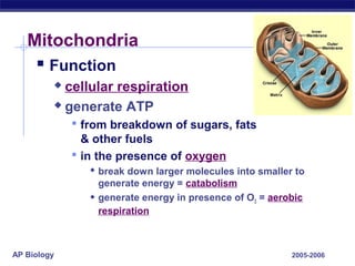 AP Biology 2005-2006
Mitochondria
 Function
 cellular respiration
 generate ATP
 from breakdown of sugars, fats
& other fuels
 in the presence of oxygen
 break down larger molecules into smaller to
generate energy = catabolism
 generate energy in presence of O2 = aerobic
respiration
 