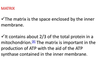 Mitochondria and chloroplast structure and genome organisation | PPTX