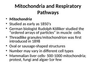 Mitochondria PowerPoint Presentation PPT | PPT
