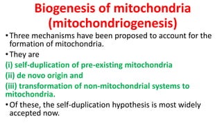Biogenesis of mitochondria
(mitochondriogenesis)
•Three mechanisms have been proposed to account for the
formation of mitochondria.
•They are
(i) self-duplication of pre-existing mitochondria
(ii) de novo origin and
(iii) transformation of non-mitochondrial systems to
mitochondria.
•Of these, the self-duplication hypothesis is most widely
accepted now.
 