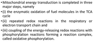 •Mitochondrial energy transduction is completed in three
major steps, namely
•(i) the enzymatic oxidation of fuel molecules in the TCA
cycle
•(ii) repeated redox reactions in the respiratory or
electron transport chain and
•(iii) coupling of the energy-releasing redox reactions with
phosphorylation reactions forming a reaction complex,
called oxidative phosphorylation.
 