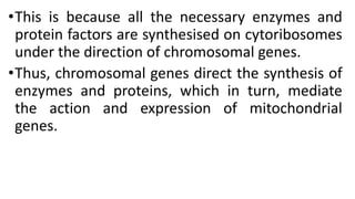 •This is because all the necessary enzymes and
protein factors are synthesised on cytoribosomes
under the direction of chromosomal genes.
•Thus, chromosomal genes direct the synthesis of
enzymes and proteins, which in turn, mediate
the action and expression of mitochondrial
genes.
 