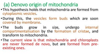 (a) Denovo origin of mitochondria
•This hypothesis holds that mitochondria are formed from
cytoplasmic vesicles.
•During this, the vesicles form buds which are soon
covered by membrane.
•The buds grow in size, undergo internal
compartmentalisation by the formation of cristae, and
transform to mitochondria.
•The current view is that mitochondria and chloroplasts
are never formed de novo, but are formed from pre-
existing ones.
 