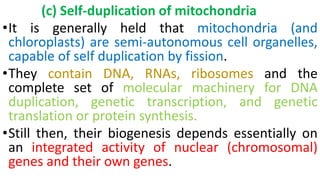 (c) Self-duplication of mitochondria
•It is generally held that mitochondria (and
chloroplasts) are semi-autonomous cell organelles,
capable of self duplication by fission.
•They contain DNA, RNAs, ribosomes and the
complete set of molecular machinery for DNA
duplication, genetic transcription, and genetic
translation or protein synthesis.
•Still then, their biogenesis depends essentially on
an integrated activity of nuclear (chromosomal)
genes and their own genes.
 